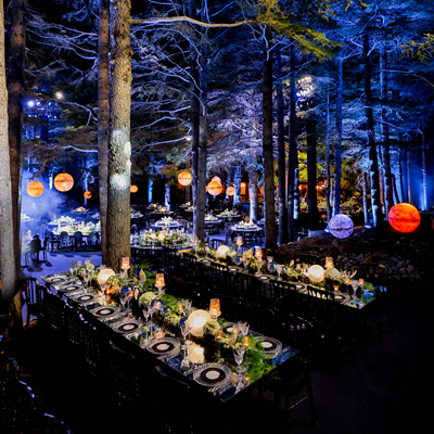 A Magical Wedding in the Cedars of God Forest